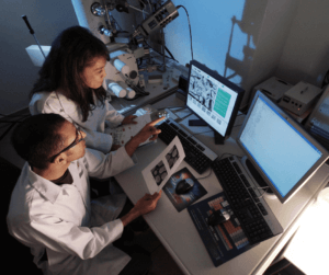 Biotecnologia na Odontologia do século XXI
