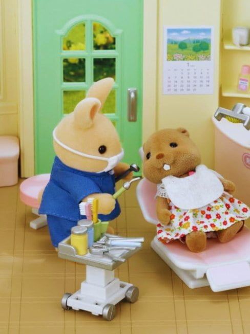 Conjunto Dentista do Campo Sylvanian Families
